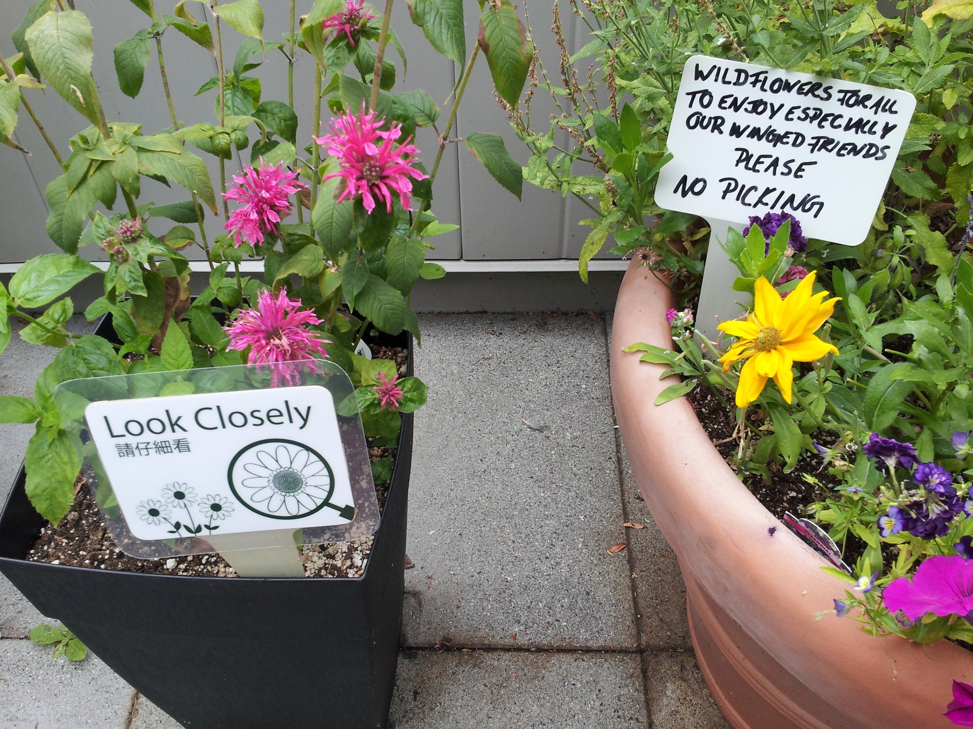 Garden Signs: Make Them or Buy Them?