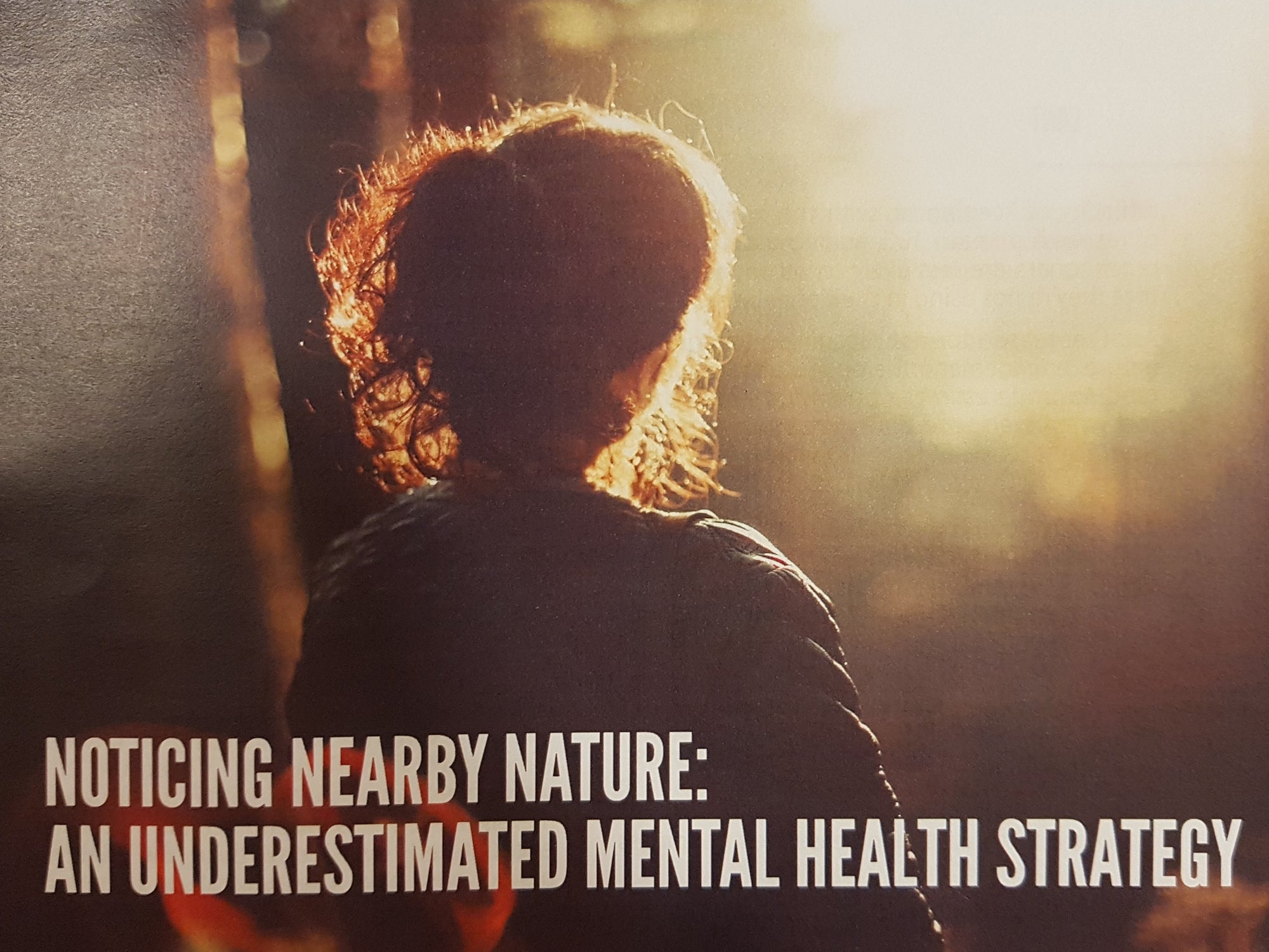 Noticing Nearby Nature: An Underestimated Mental Health Strategy