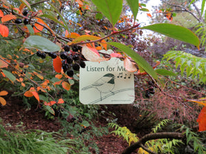 6 Plant Tags for Sensory Gardens